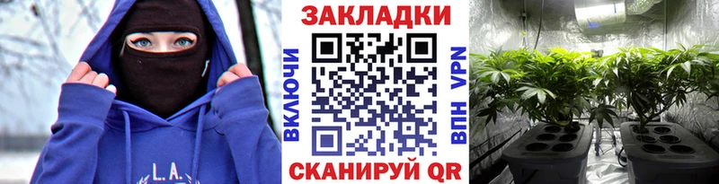Купить наркоту Озёрск ГАШИШ  Cocaine  Alpha-PVP  Бутират  МЕФ 
