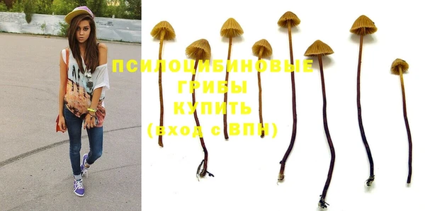 прущий лед Богородицк